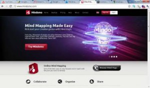 (Screen shot of Mindomo.com)