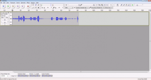 (Now open Audacity and record some sample by clicking the red circle button.)